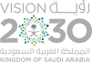 Vision 2030